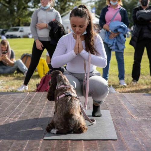 Quattrozampeinfiera arriva a Bologna: meditare con il proprio cane è possibile