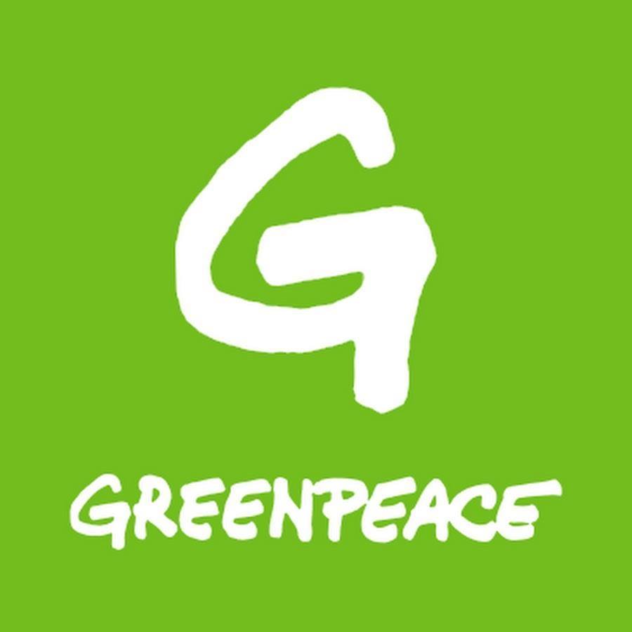 Greenpeace: volontari puliscono la Marina Grande di Bacoli