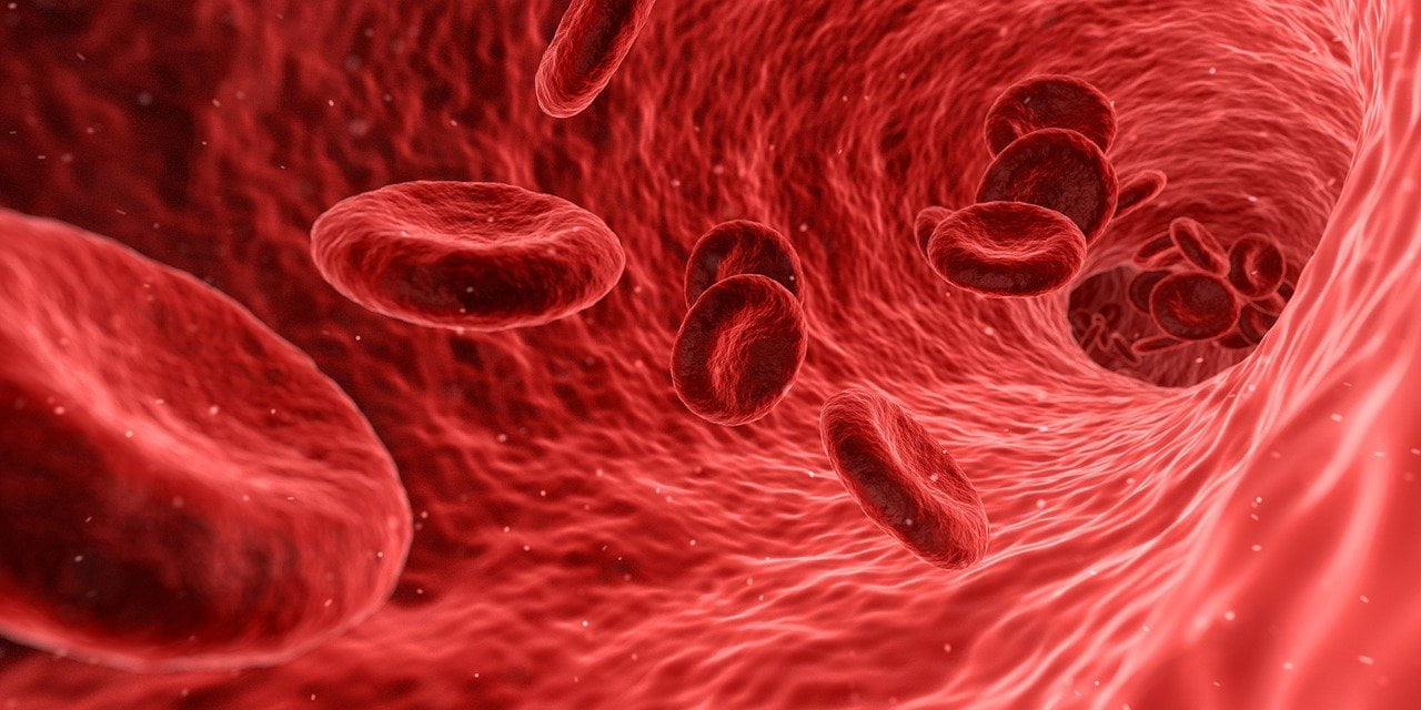 Sangue globuli rossi
