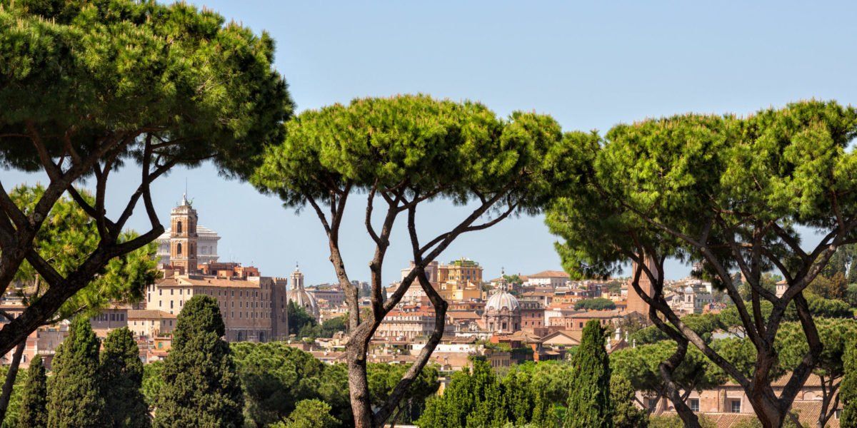 Formazione e informazione per la tutela dei pini di Roma: il convegno