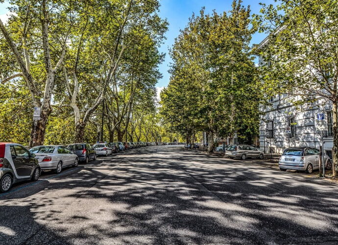 Blocco traffico Roma strade alberi