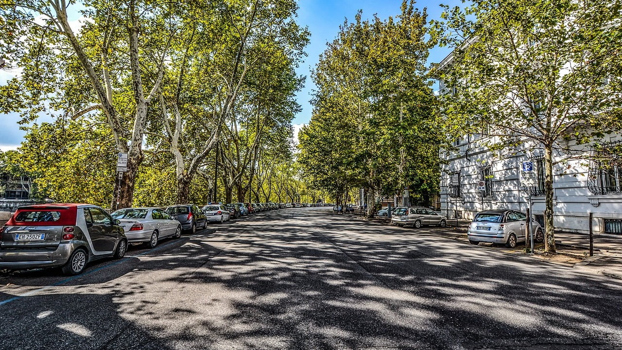 Blocco traffico Roma strade alberi