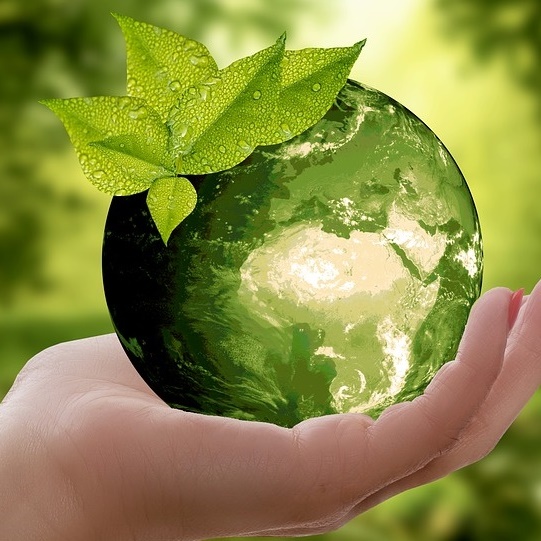 Разрешения, отчеты и лицензии: ключевые шаги в управлении экологическими вопросами